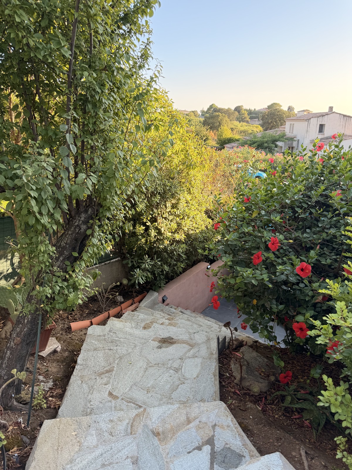 Escalier du jardin