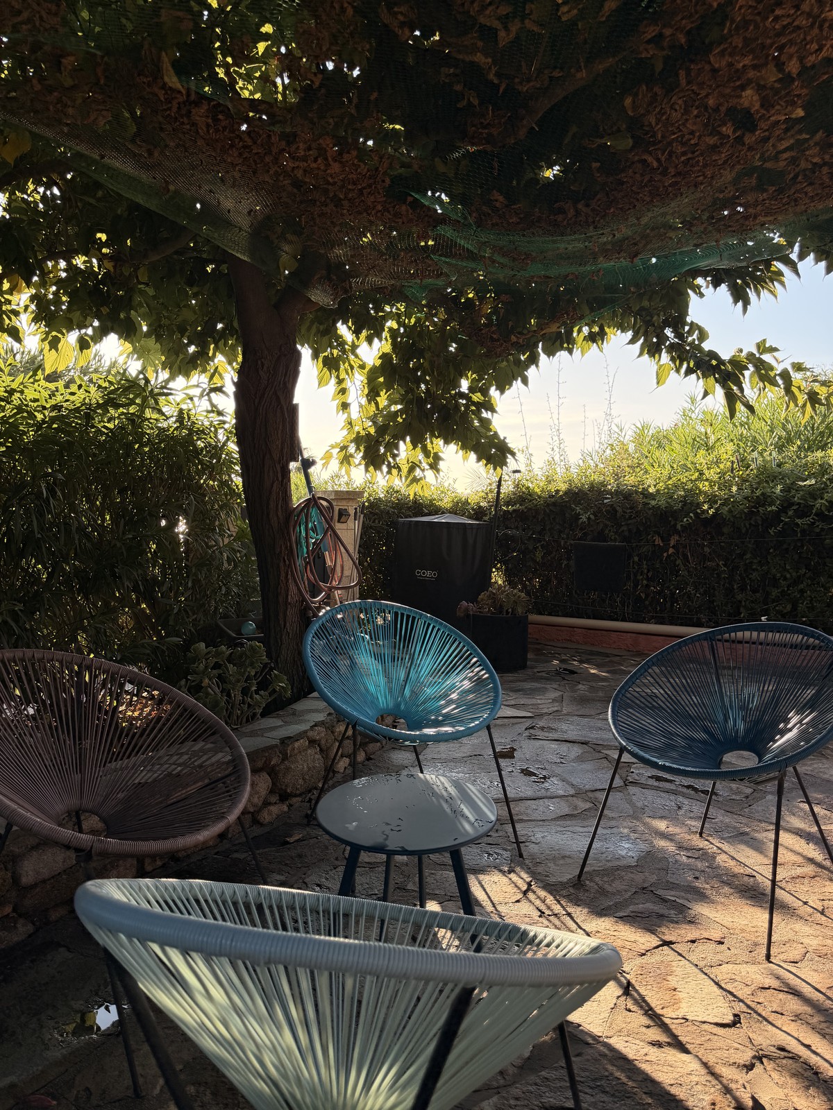 Terrasse du bas
